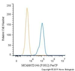 MCAM/CD146 Antibody (P1H12) - BSA Free, Novus Biologicals:Antibodies:Primary