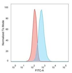 MED21 Mouse anti-Human, Clone: PCRP-MED21-4B5, Novus Biologicals:Antibodies:Primary