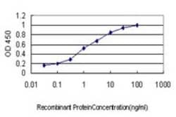 MED21 Antibody (5A6), Novus Biologicals 0.1 mg | Buy Online | Novus Biologicals | Fisher Scientific