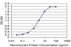 MED21 Antibody (6B6), Novus Biologicals 0.1 mg, Unconjugated:Antibodies,