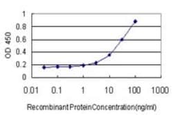 MEF2A Antibody (3F6), Novus Biologicals 0.1 mg | Buy Online | Novus Biologicals | Fisher Scientific