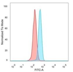 MEF2B Mouse anti-Human, Clone: PCRP-MEF2B-2F9, Novus Biologicals 100 &mu;g;