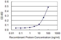 MEK5 Antibody (1B4), Novus Biologicals 0.1 mg | Buy Online | Novus Biologicals | Fisher Scientific