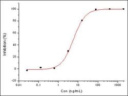 MERS-CoV/NCov Spike Protein Rabbit anti-MERS-CoV, Clone: 723, Novus Biologicals
