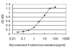 MGAT4A Antibody (4H4), Novus Biologicals 0.1 mg, Unconjugated:Antibodies,