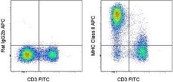 MHC class II (I-A/I-E) Antibody (M5/114.15.2) - BSA Free, Novus Biologicals