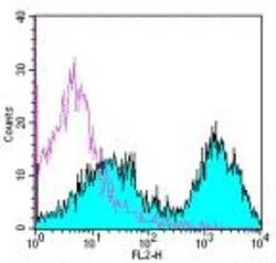 MHC class II (I-A/I-E) Antibody (M5/114.15.2) - BSA Free, Novus Biologicals