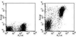 MHC class II (I-A/I-E) Antibody (M5/114.15.2) - BSA Free, Novus Biologicals