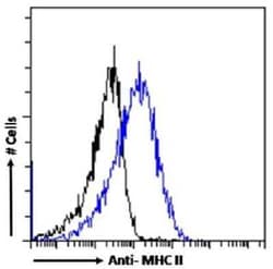 MHC Class II Antibody (P7/7) - Chimeric - Azide and BSA Free, Novus Biologicals