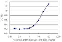 MICAL3 Antibody (3A6), Novus Biologicals™