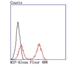 MIF Rabbit anti-Human, Clone: JM11-64, Novus Biologicals 100&mu;L:Antibodies,