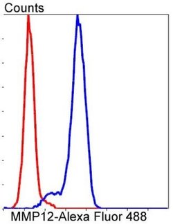 MMP-12 Antibody (SR03-23), Novus Biologicals 100&mu;L:Antibodies, Monoclonal