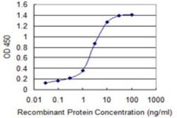Novus Biologicals MMP26 Antibody (3B9), Novus Biologicals 50 &mu;g | Buy Online | Novus Biologicals&trade; | Fisher Scientific