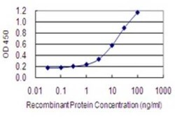 Novus Biologicals MOG1 Antibody (1H4), Novus Biologicals 0.1 mg | Buy Online | Novus Biologicals&trade; | Fisher Scientific