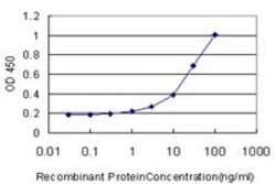 MOX1 Antibody (1A10), Novus Biologicals 0.1 mg | Buy Online | Novus Biologicals | Fisher Scientific