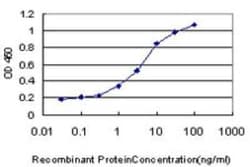 MPG Antibody (2C5), Novus Biologicals 0.1 mg | Buy Online | Novus Biologicals | Fisher Scientific
