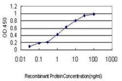 MPHOSPH6 Antibody (1D8-2A8), Novus Biologicals 0.1 mg | Buy Online | Novus Biologicals | Fisher Scientific