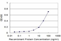 MPP1 Antibody (1C3-1D11), Novus Biologicals 0.1 mg | Buy Online | Novus Biologicals | Fisher Scientific