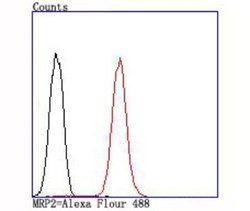 MRP2 Rabbit anti-Human, Clone: JA32-01, Novus Biologicals 100&mu;L:Antibodies,
