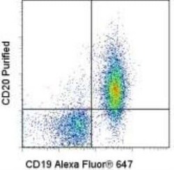 CD20 Antibody (AISB12) - BSA Free, Novus Biologicals:Antibodies:Primary