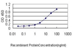 Novus Biologicals MS4A12 Antibody (4F4), Novus Biologicals 0.1 mg | Buy Online | Novus Biologicals&trade; | Fisher Scientific