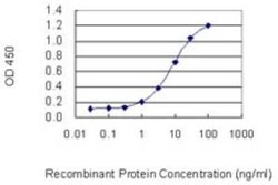 MSK1/RPS6KA5 Antibody (1G7), Novus Biologicals 0.1 mg | Buy Online | Novus Biologicals | Fisher Scientific