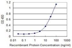 MSRB2 Antibody (3F12), Novus Biologicals 0.1 mg | Buy Online | Novus Biologicals | Fisher Scientific