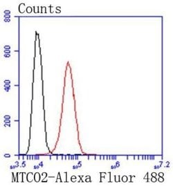 MT-CO2 Rabbit anti-Human, Clone: SC06-88, Novus Biologicals 100&mu;L:Antibodies,