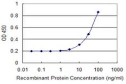 MTRF1 Antibody (1D5), Novus Biologicals 0.1 mg | Buy Online | Novus Biologicals | Fisher Scientific