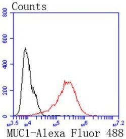 MUC1 Antibody (SN06-80), Novus Biologicals 100&mu;L:Antibodies, Monoclonal