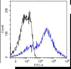 MUC1 Antibody (HMFG2) - Chimeric - Azide and BSA Free, Novus Biologicals:Antibodies:Primary