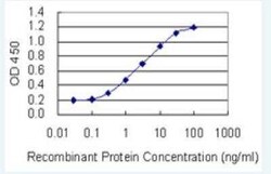 MUC12 Antibody (8B10), Novus Biologicals 100 &mu;g;, Unconjugated:Antibodies,