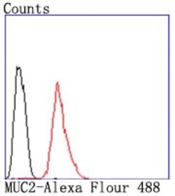 MUC2 Rabbit anti-Human, Clone: JA10-92, Novus Biologicals 100&mu;L:Antibodies,