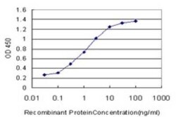 MYL5 Antibody (1C5), Novus Biologicals 0.1 mg | Buy Online | Novus Biologicals | Fisher Scientific