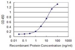 MYST3 Antibody (4D8), Novus Biologicals 0.1 mg | Buy Online | Novus Biologicals | Fisher Scientific