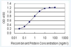 MafF Antibody (1F8), Novus Biologicals 100 &mu;g | Buy Online | Novus Biologicals | Fisher Scientific