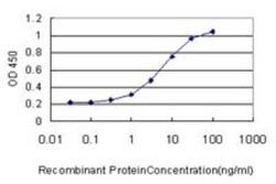 MgcRacGAP/RACGAP1 Antibody (1G6), Novus Biologicals 0.1 mg | Buy Online | Novus Biologicals | Fisher Scientific