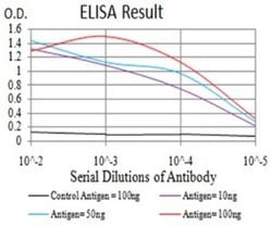 Mind Bomb 1/MIB1 Antibody (2A7B1) - BSA Free, Novus Biologicals:Antibodies:Primary