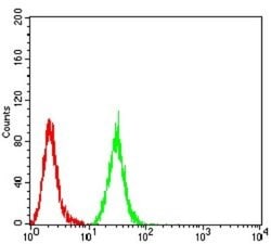 Mind Bomb 1/MIB1 Antibody (2A7B1) - BSA Free, Novus Biologicals:Antibodies:Primary
