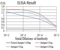 Mind Bomb 1/MIB1 Antibody (6A9C9) - BSA Free, Novus Biologicals:Antibodies:Primary