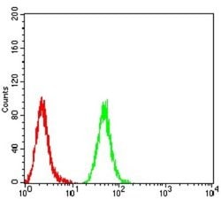 Mind Bomb 1/MIB1 Antibody (6A9C9) - BSA Free, Novus Biologicals:Antibodies:Primary