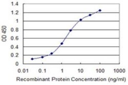 Mitochondrial-processing peptidase subunit beta Antibody (3C3), Novus Biologicals 0.1 mg | Buy Online | Novus Biologicals | Fisher Scientific