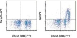 IgM Antibody (II/41) - BSA Free, Novus Biologicals:Antibodies:Secondary