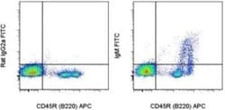 IgM Antibody (II/41) - BSA Free, Novus Biologicals:Antibodies:Secondary