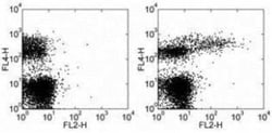 IgM Antibody (II/41) - BSA Free, Novus Biologicals:Antibodies:Secondary