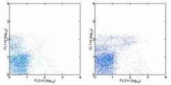IgM Antibody (II/41) - BSA Free, Novus Biologicals:Antibodies:Secondary