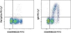 IgM Antibody (II/41) - BSA Free, Novus Biologicals™
