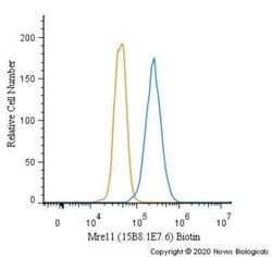 Mre11 Antibody (15B8.1E7.6) - Azide and BSA Free, Novus Biologicals 0.1