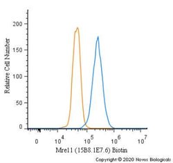 Mre11 Antibody (15B8.1E7.6) - BSA Free, Novus Biologicals 0.1 mg | Buy Online | Novus Biologicals | Fisher Scientific