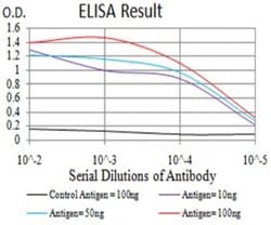 MUC5AC Antibody (7E9D8) - BSA Free, Novus Biologicals 0.1 ml; Unconjugated:Antibodies,